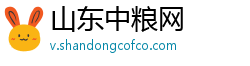 山东中粮网